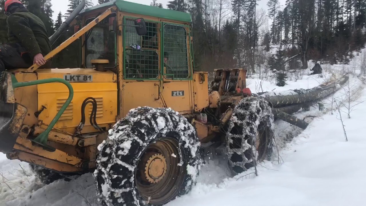 LKT 81T work Forrest ťažba po snehu 🌲🌲🪵9,50m3