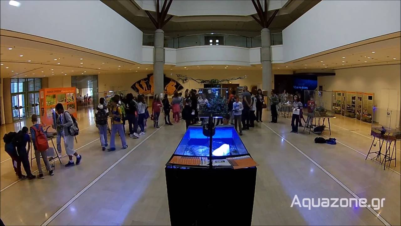 Aquazone.gr time lapse at Goulandri Museum of Natural History