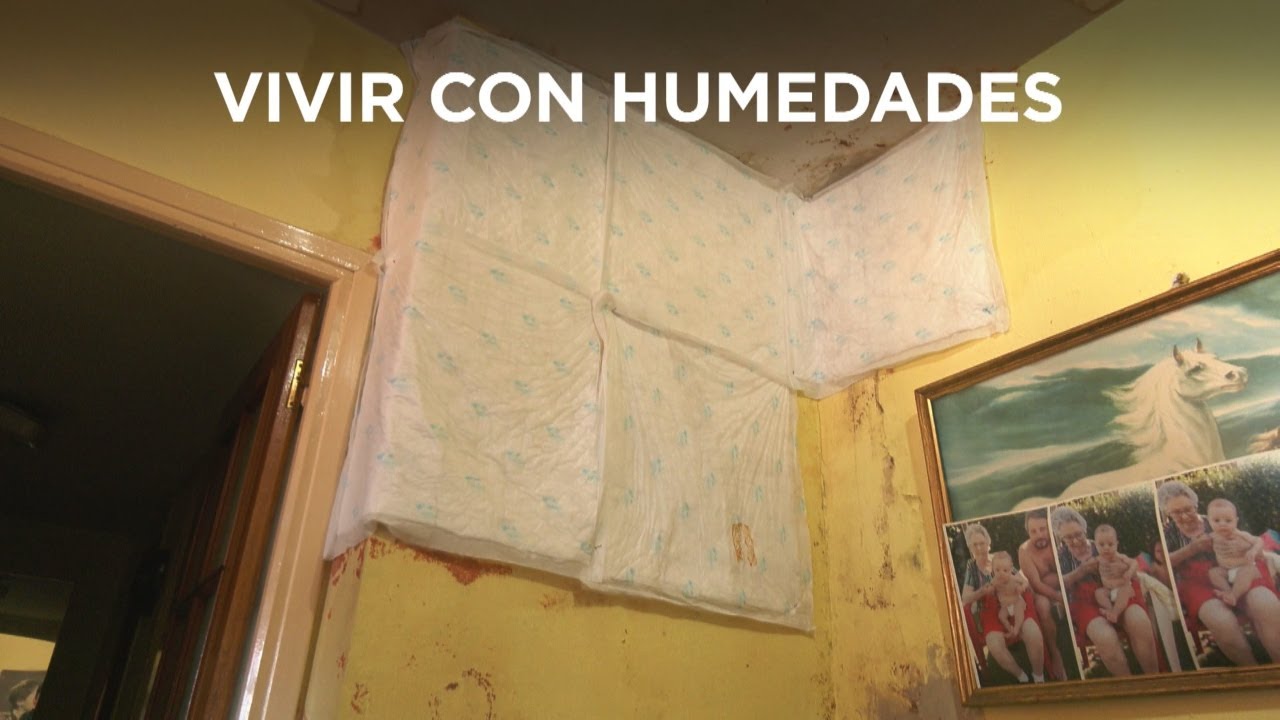 El infierno de vivir rodeado de humedades, en Fuenlabrada