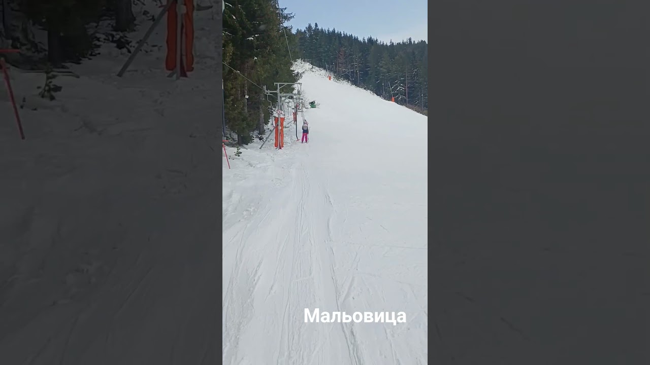 #Мальовица