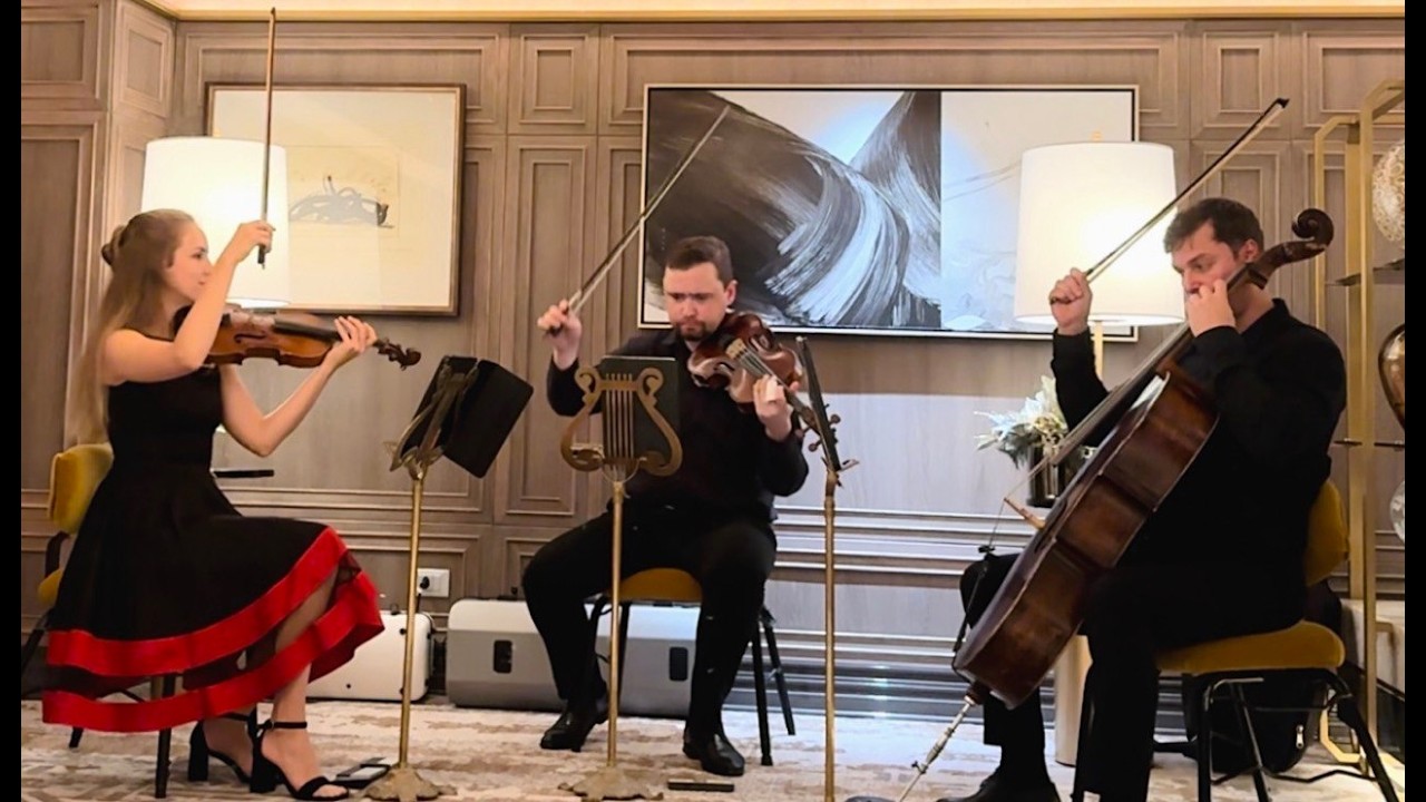 String Trio Primavera LIVE