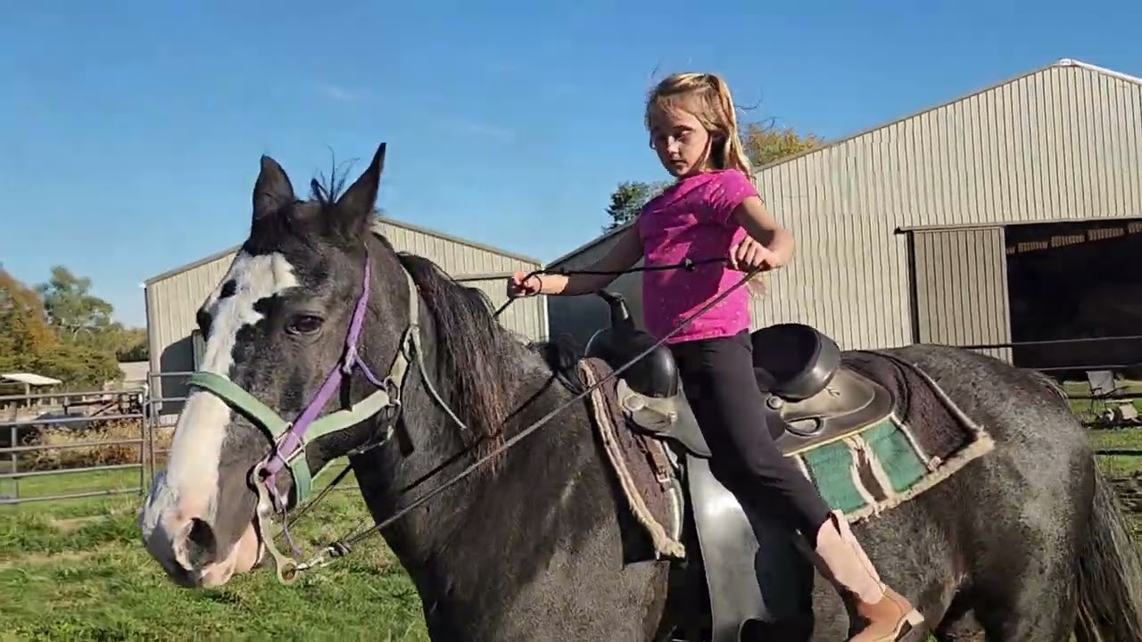 Pony Rides