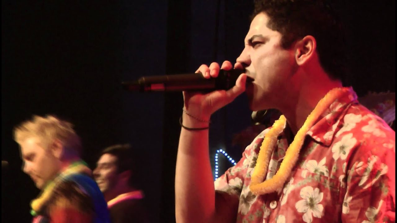 [1/21] Zebrahead - Blackout - live in Herzele 2011