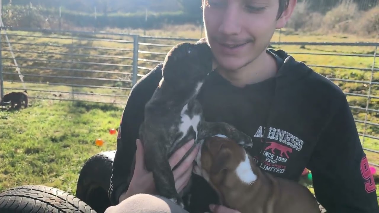 De l'Amour ❤️