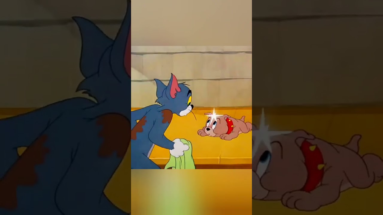 Cartoons world 2024   💫Tom and Jerry 🤣🤣           &bull;  If You like my reel please share your valuab