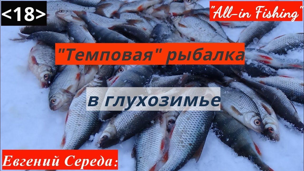 Темповая рыбалка в глухозимье. 