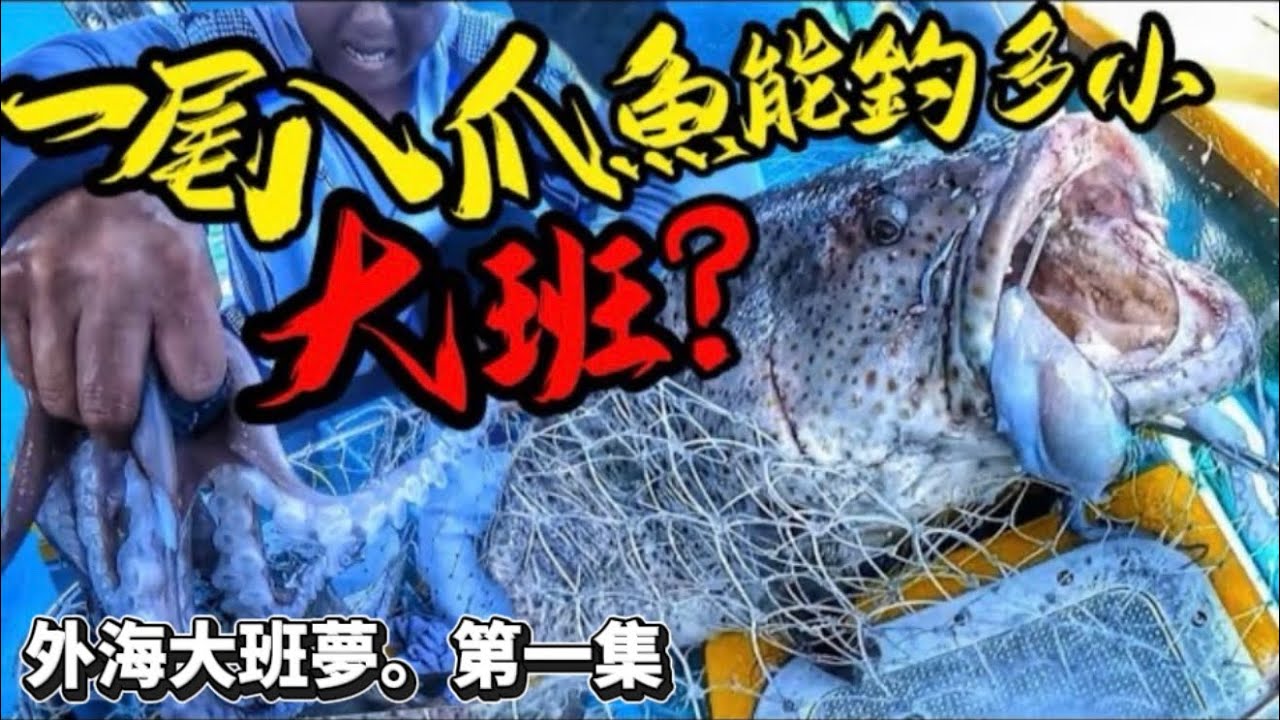 外海釣大班100蚊魚餌 重用就能釣上幾十斤，拿去賣返幾千蚊￼🤑#香港釣魚 #fishing#grouper