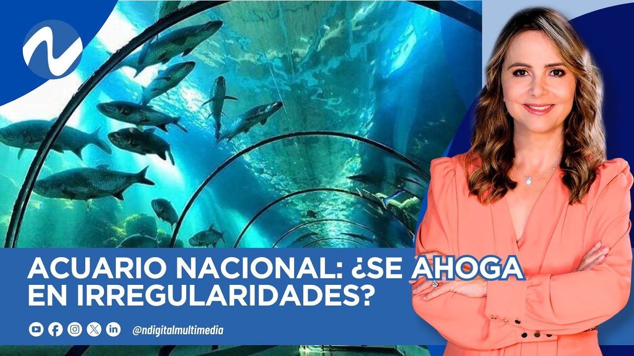 Acuario Nacional: ¿Se ahoga en irregularidades?