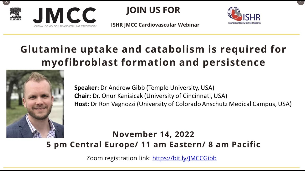 Dr A Gibb - Glutamine uptake and catabolism is required for myofibroblast formation and persistence