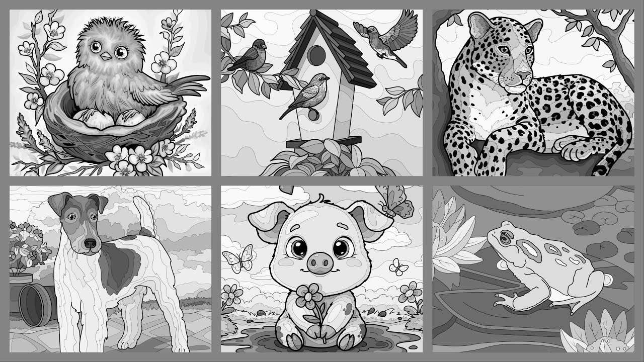 Happy Animals Collection Owl Tiger Birds Puppy Pig Frog Hey Color by Number app #coloringbook