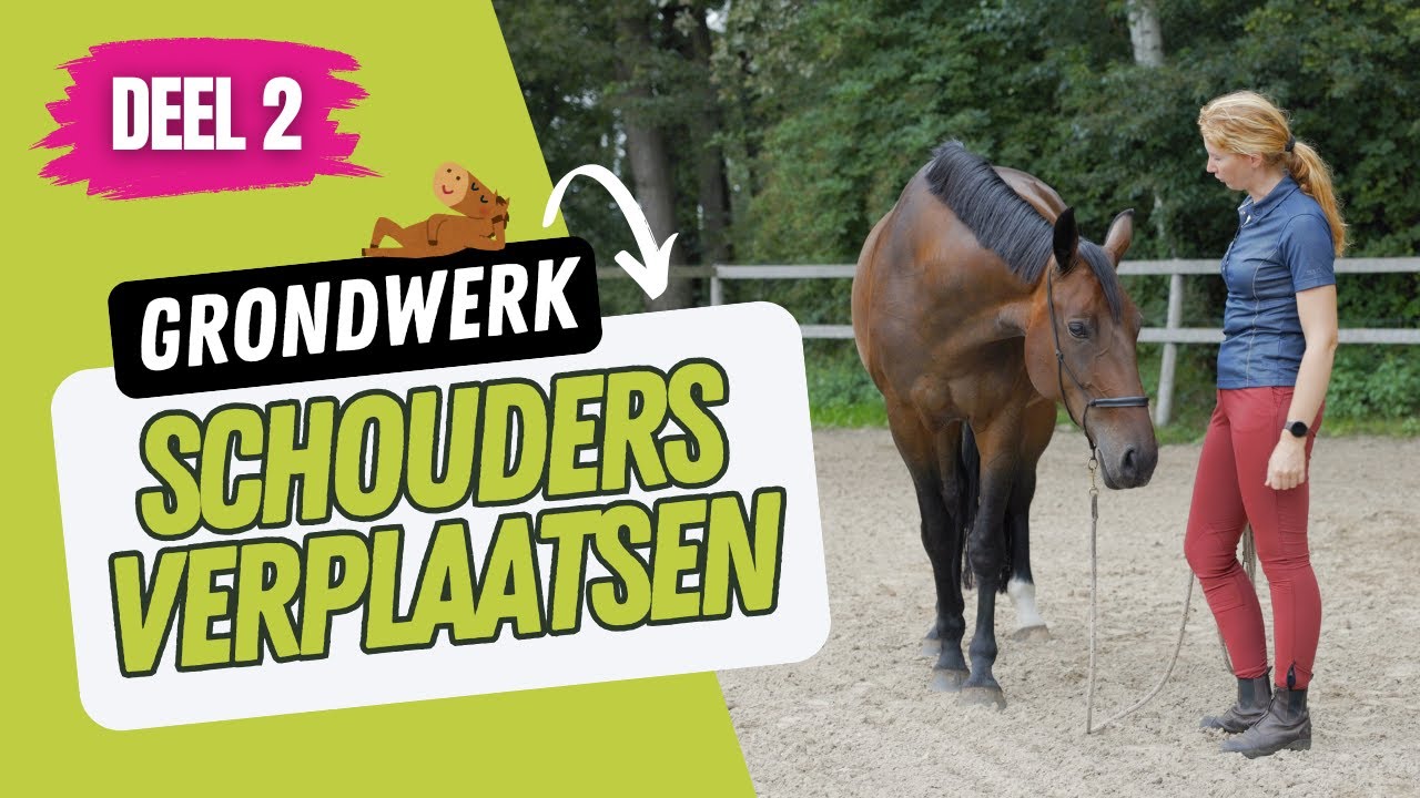 Grondwerk met het paard - schouders verplaatsen 👏🏻  (deel 2/5)