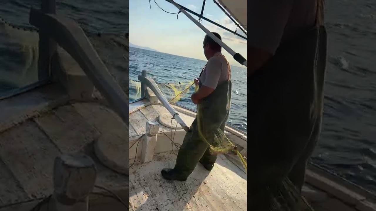 Ο Σύζυγος της Πιπίνας 12 - Η αληθινή ιστορία μιας θάλασσας Αβδήρων και δύο ναυτικών