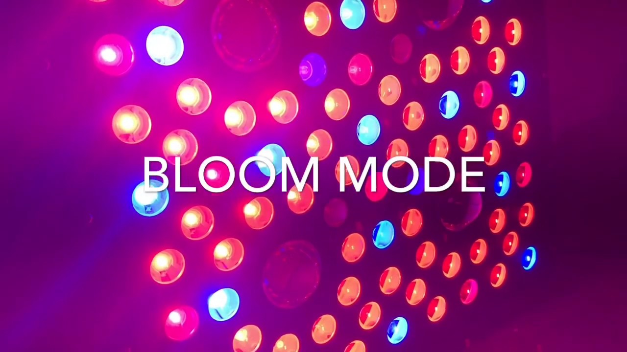AGLEX 2000W FULL SPECTRUM LED GROW LIGHT - Review and Information