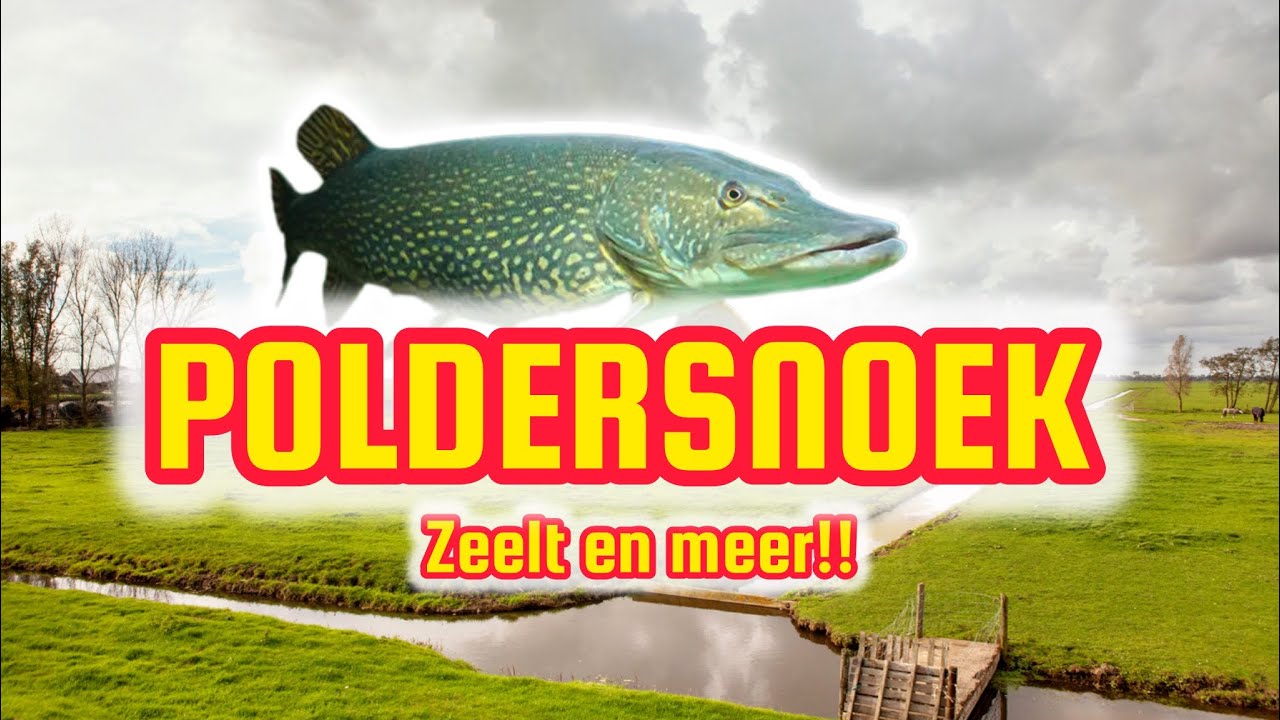Poldersnoek, zeelt en meer!! S2 Ep #22