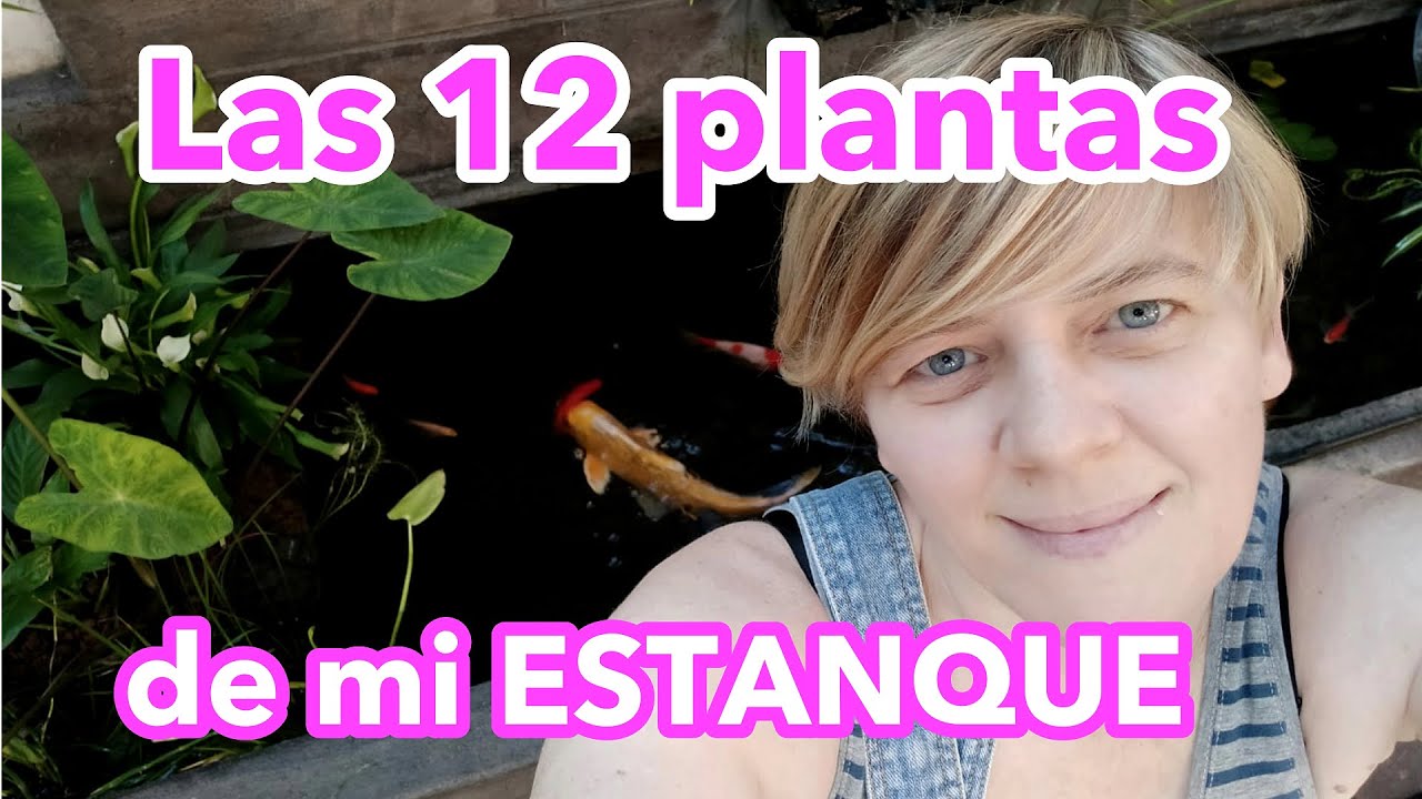 ❤️12 Plantas que tengo en mi Estanque