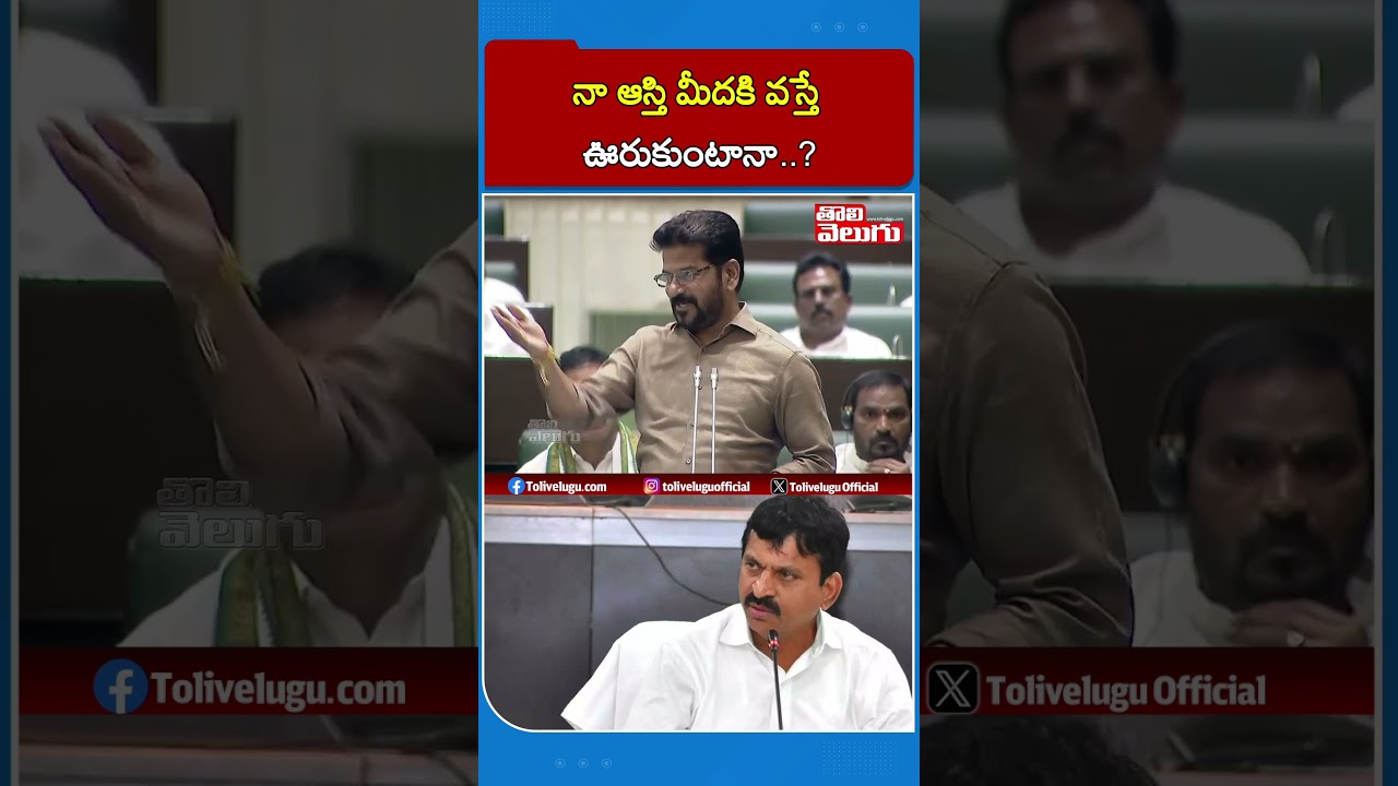 నా ఆస్తి మీదకి వస్తే ఊరుకుంటానా..? | Tolivelugu