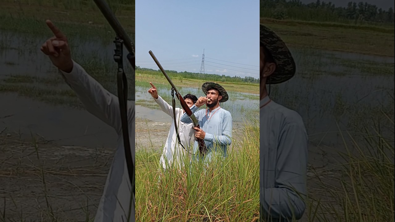 Duck Hunting Adventure: Calling in the Flock with 12 Gauge