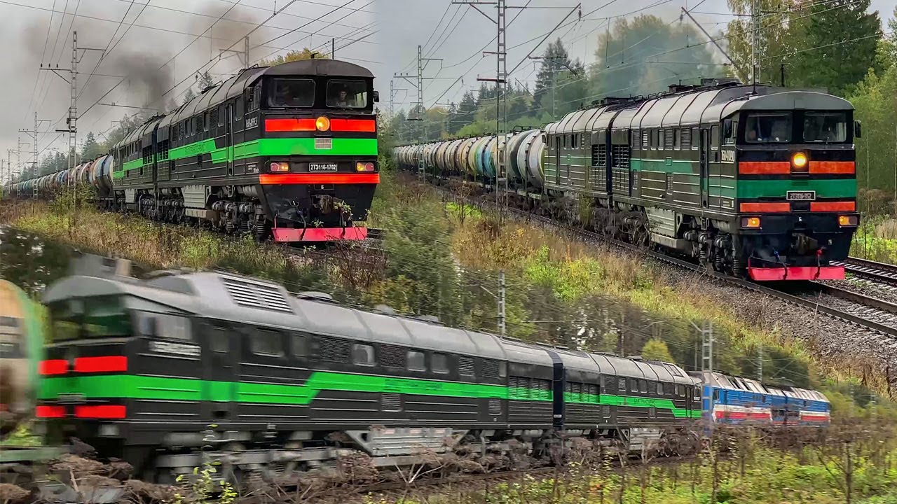 Ранняя осенняя пора Войсковицкого подъёма