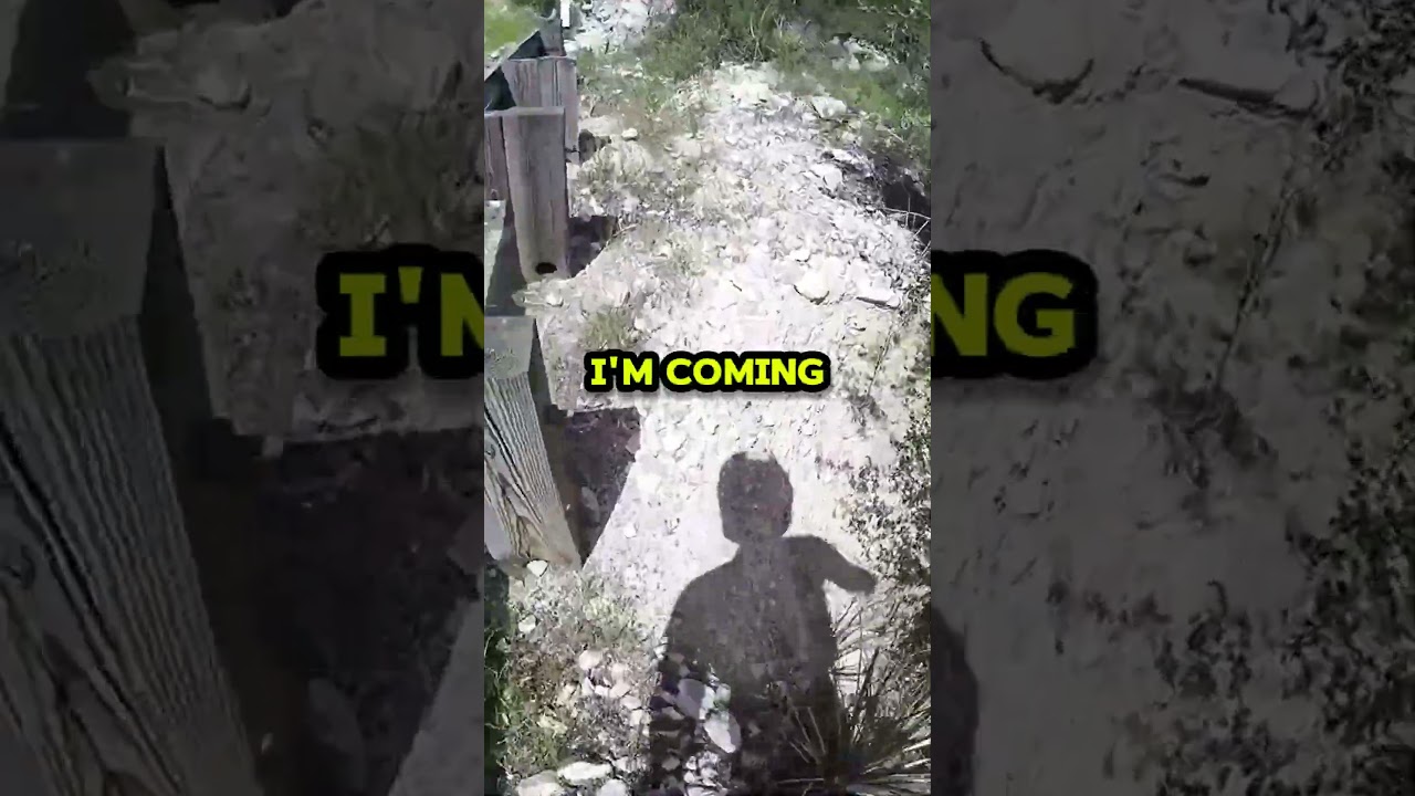 Biker almost lost his friend after crash😰😥  #bike #bikersboyz #crash
