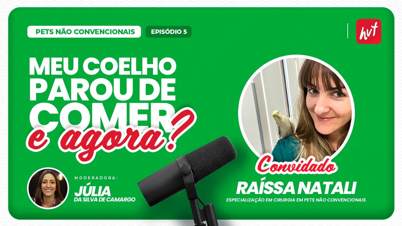 Meu coelho parou de comer, e agora?