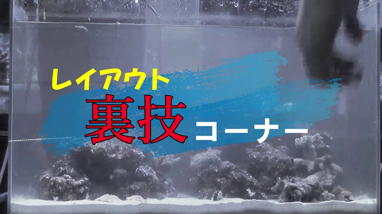 第42海　誰でも簡単!プロ顔負けの本格レイアウト