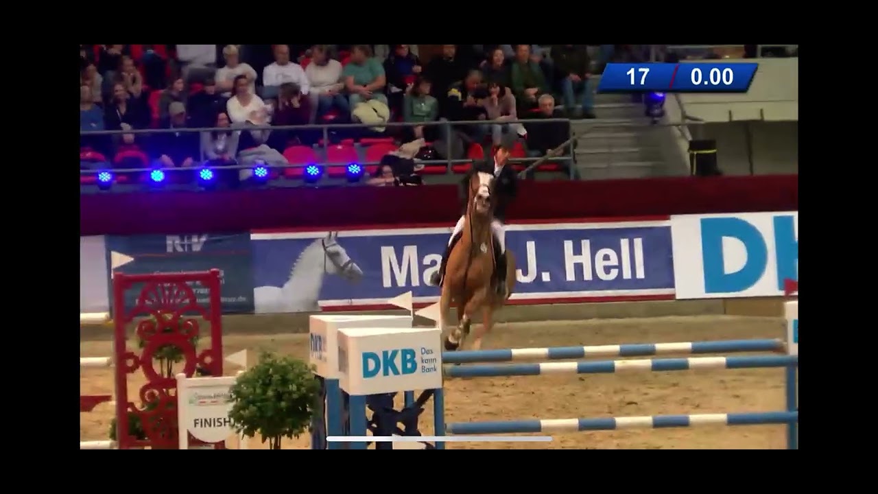 Mother of this Frozen Embryo is the CSI 1.60m jumping Mare Oak Grove’s Americana with rider N. Healy