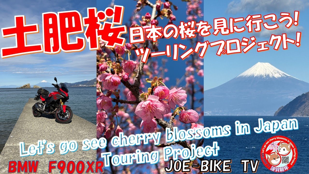 日本の桜を見に行こう！ツーリングプロジェクト2026土肥桜編