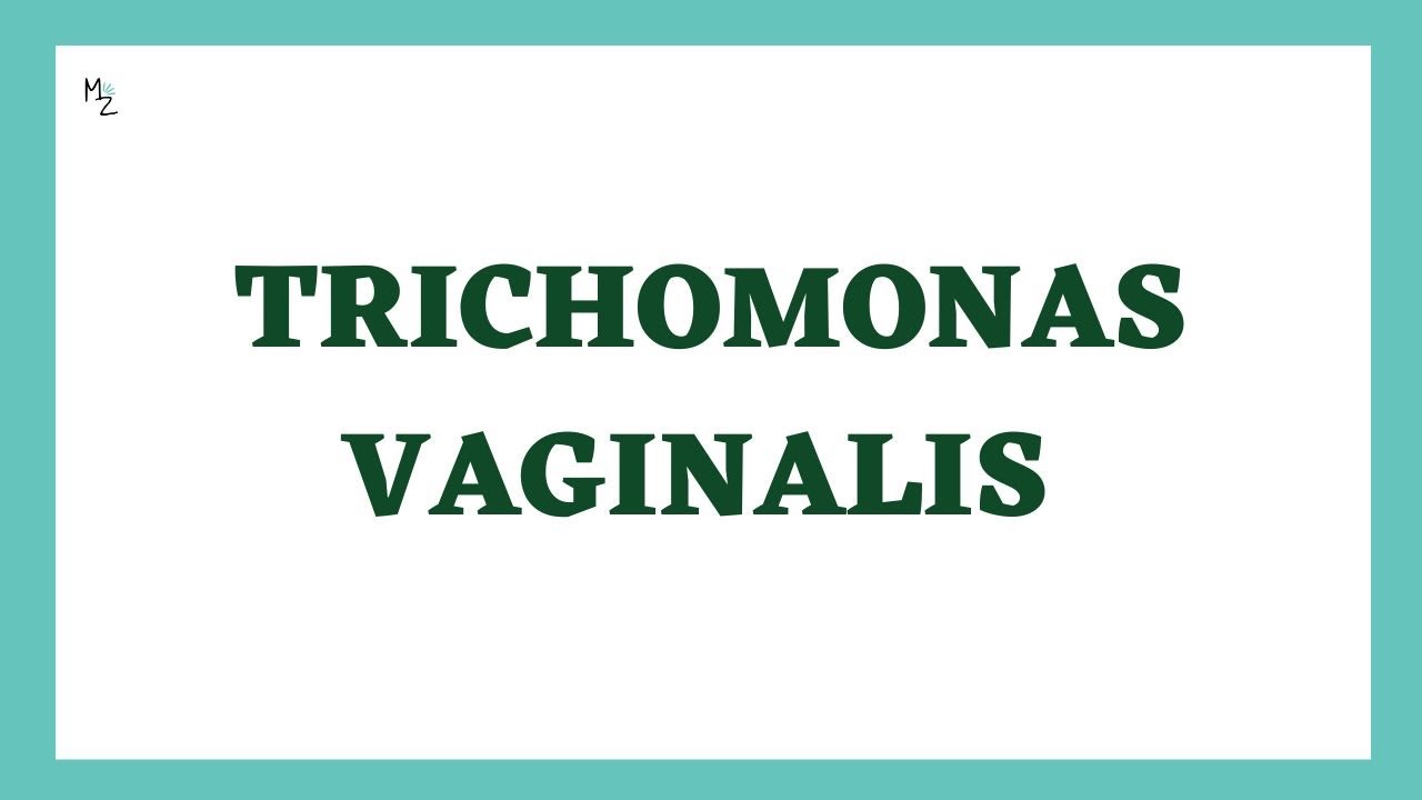 Trichomonas Vaginalis | Трихомониаз (жизненный цикл, патогенез, лабораторная диагностика и лечени...