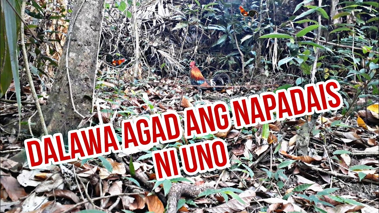 UNANG SUBOK NG BAGO KONG PANGATI NA TRES MARIAS NA SI UNO.