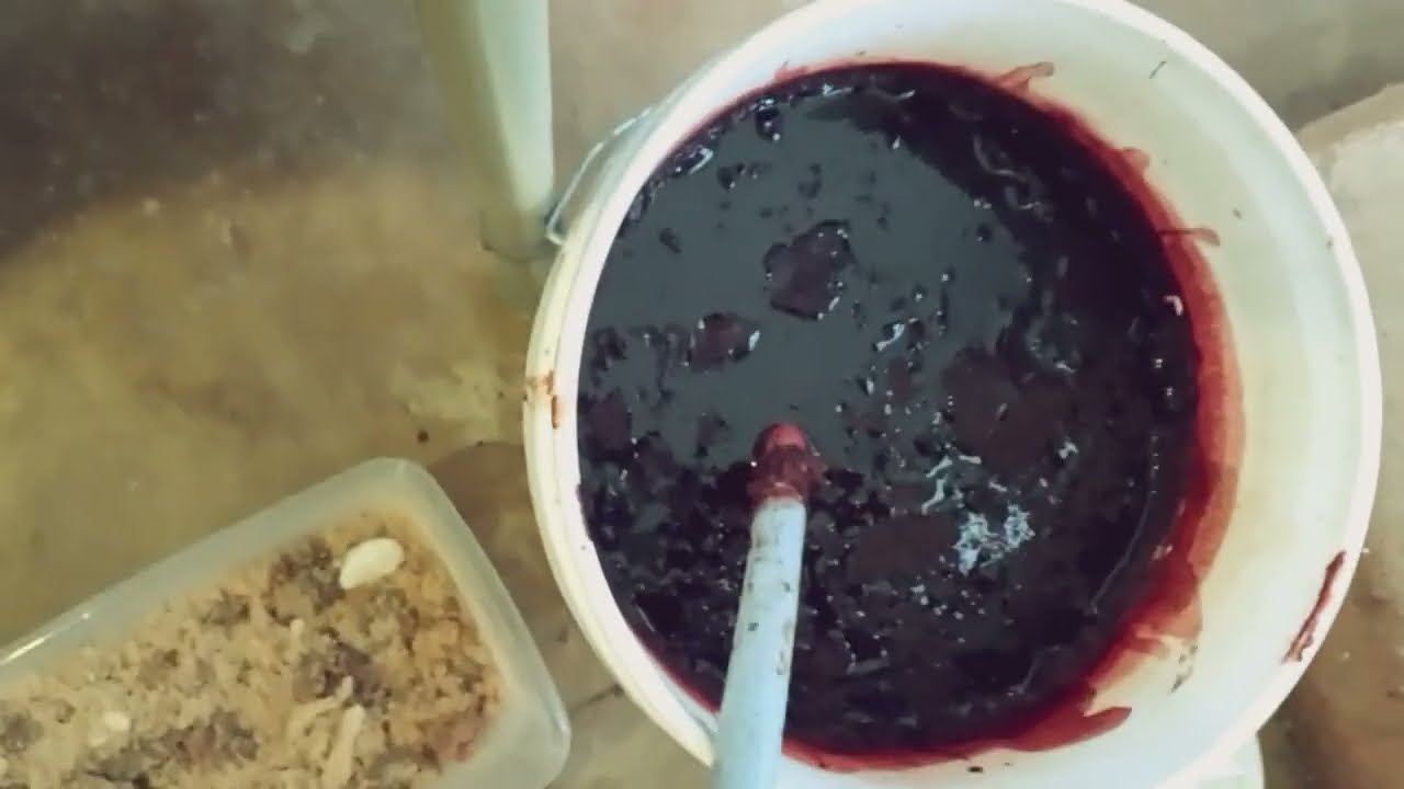 Tight lines & White Lies ~ Dehydrated Chicken liver & Beef liver ~ Checking on my beef blood