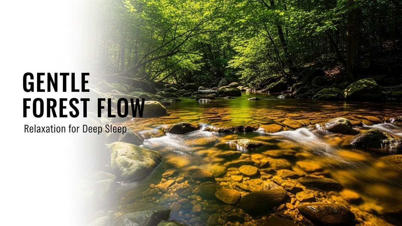 Serene Forest Ambience with Gentle River Flow for Study Meditation Sleep Stress Relief and Calm Mind