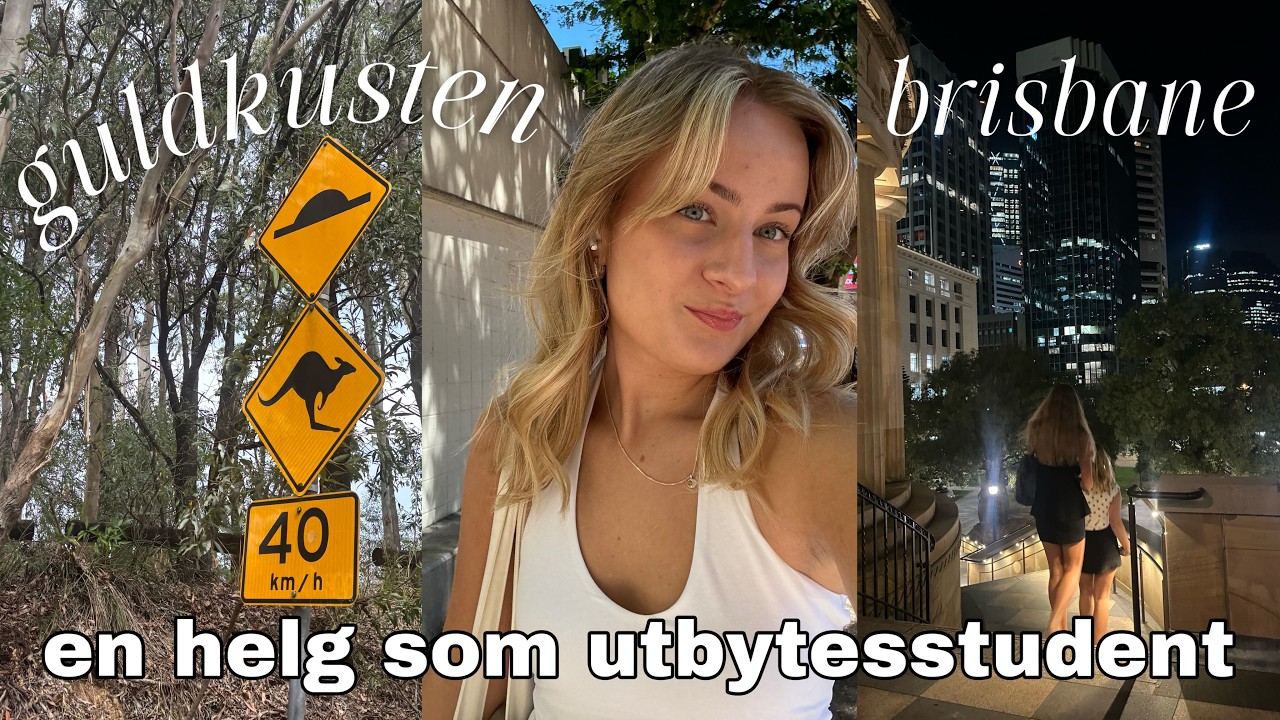 En helg i Brisbane och på Guldkusten 🇦🇺🌊🐨 bokhaul, koalor och plugg!