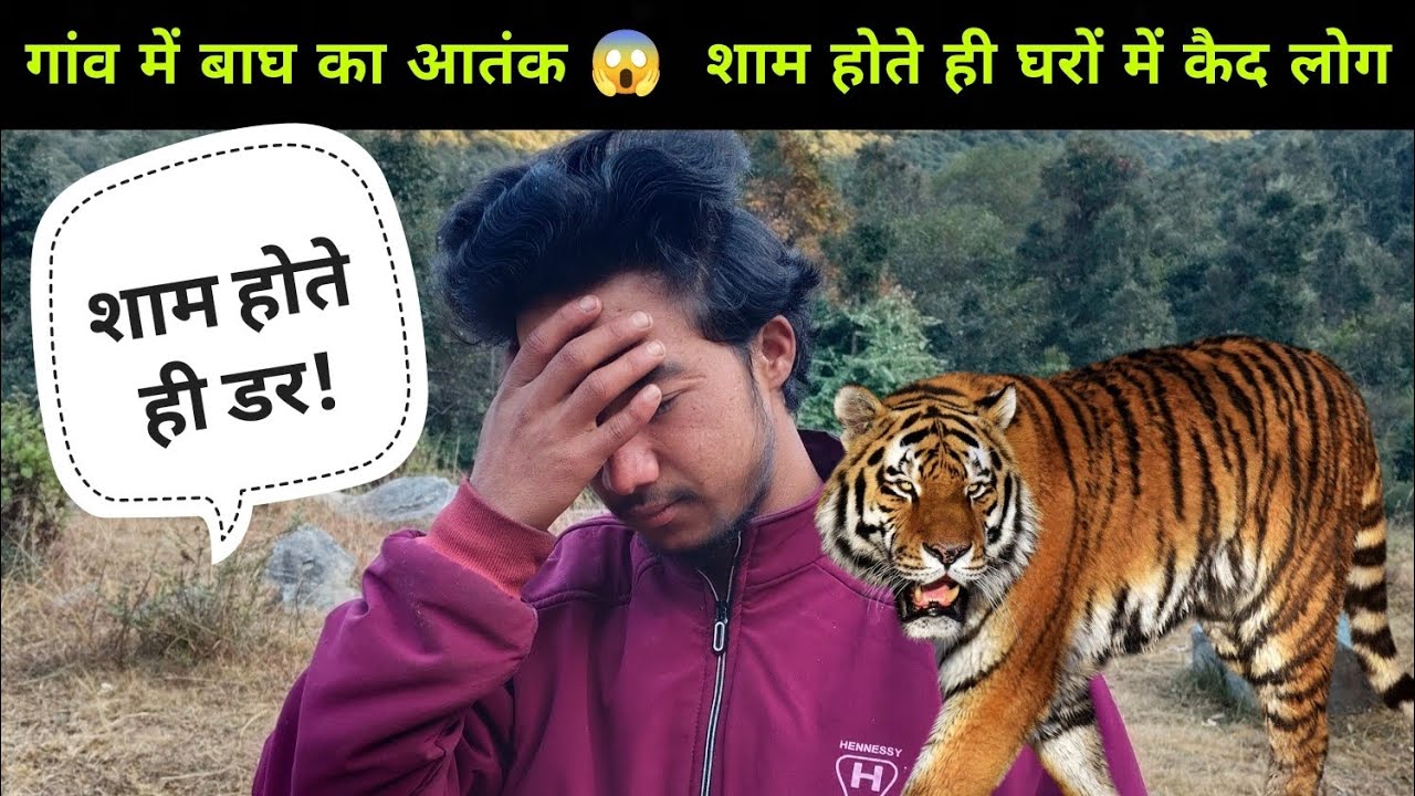 गांव में बाघ का आतंक 😱 शाम होते ही घरों में कैद लोग | Pahadi Lifestyle & Culture Vlog 