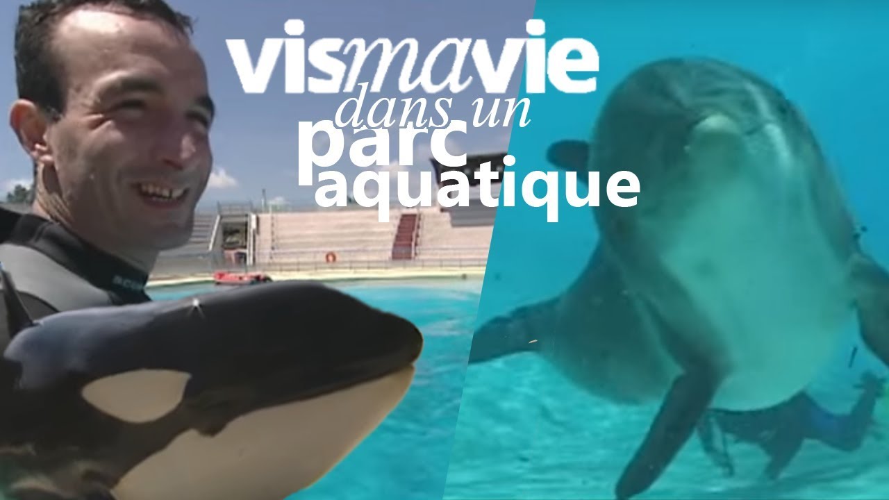 Travailler dans un parc aquatique, avec Pascal Sellem - Vis ma vie