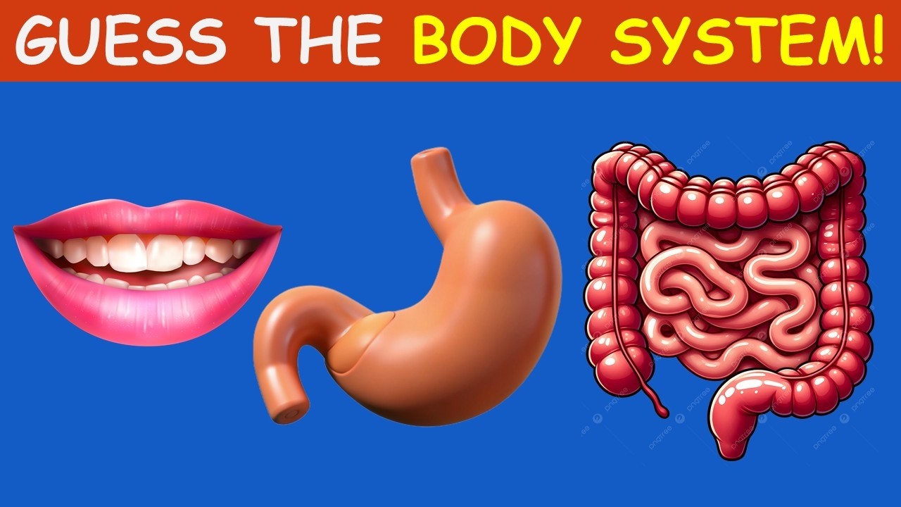 Are you smarter than a fifth grader? 🧠🙋‍♂️  Only 5% can guess all the body systems! 🏆 /science quiz