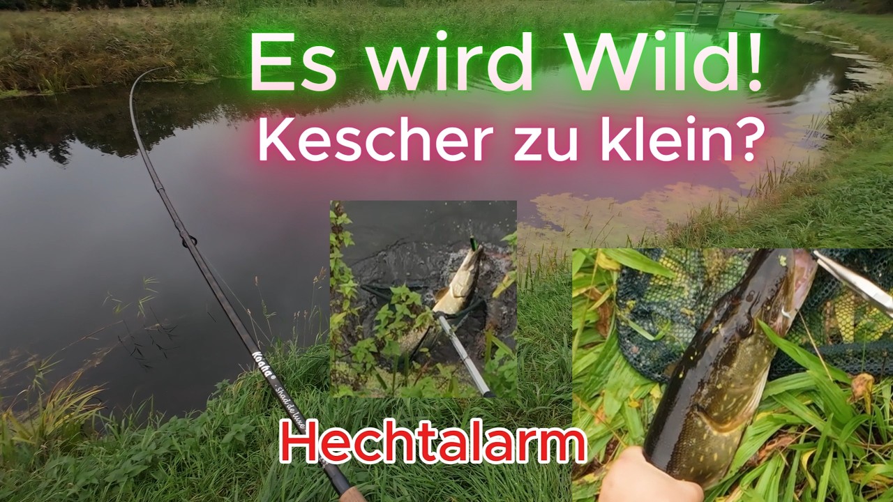 Angeln an der Zarow und gleich ein Schock am Anfang