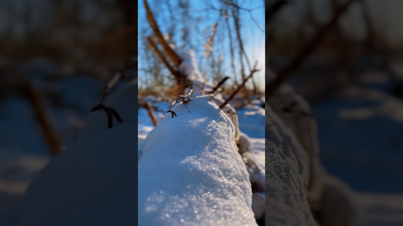 Winter Impressionen aus Staaken  / Seeburg 2026 … 