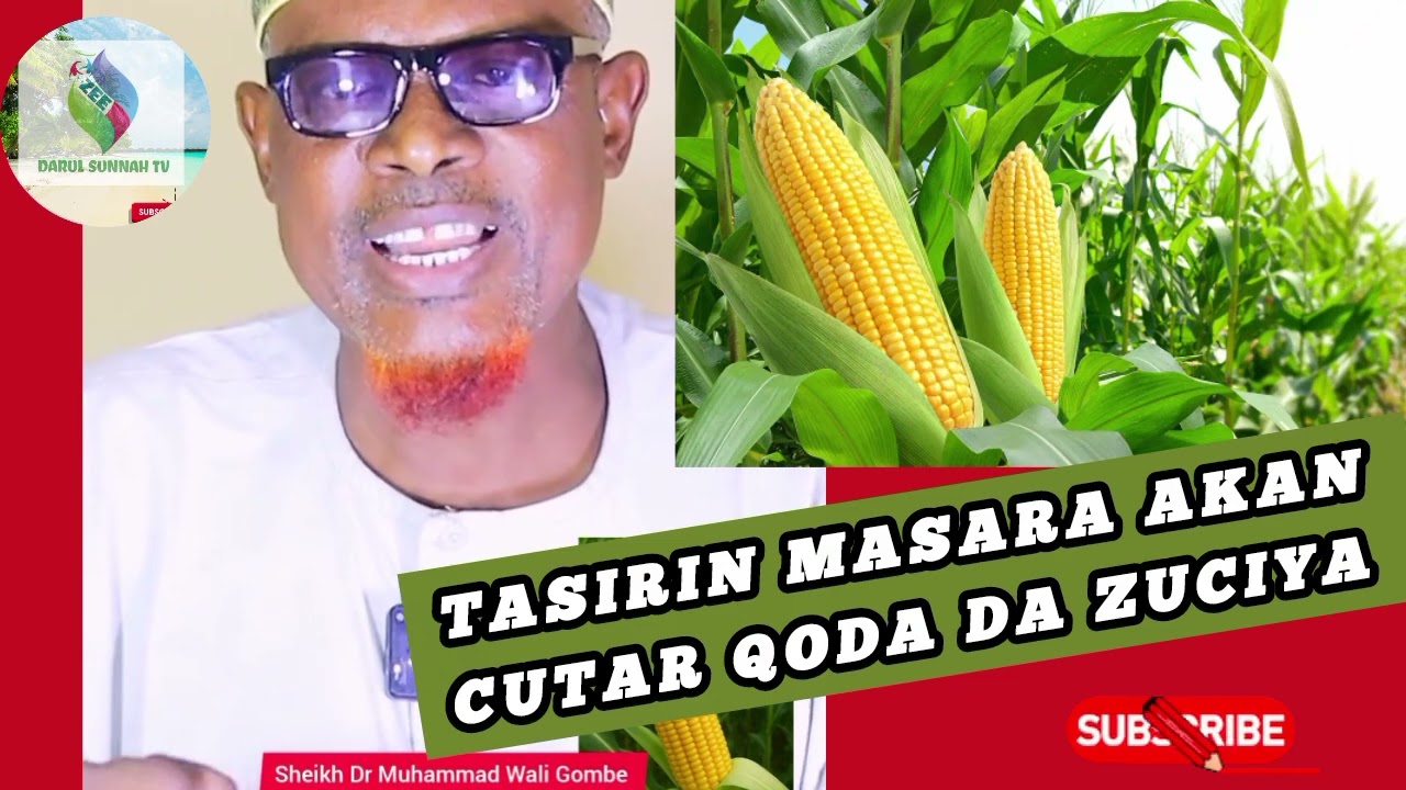 TASIRIN MASARA AKAN CUTAR QODA DA ZUCIYA? Dr. Muhammad Wali Gombe 