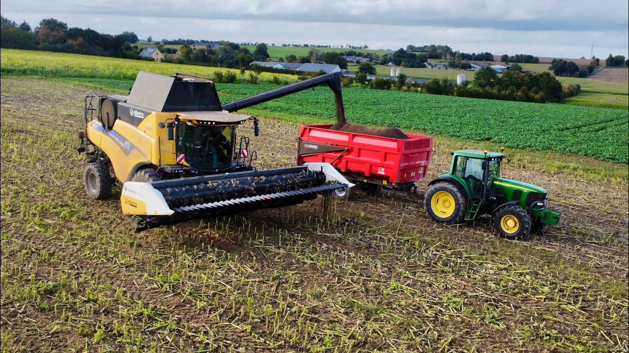 Moisson de tournesol 2024