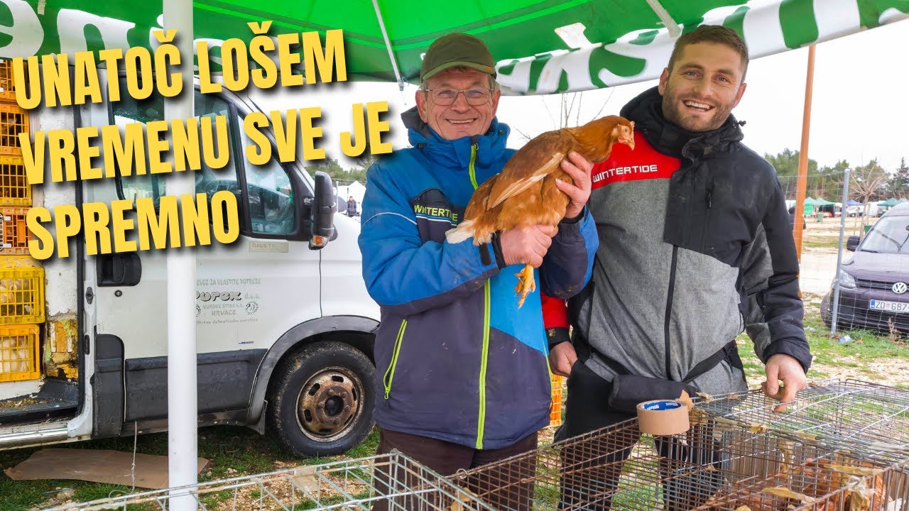 Večer uoči SAJMA U BENKOVCU (01/2026): Ozbiljno se trguje. SNIJEG IM NE MOŽE NI&Scaron;TA!