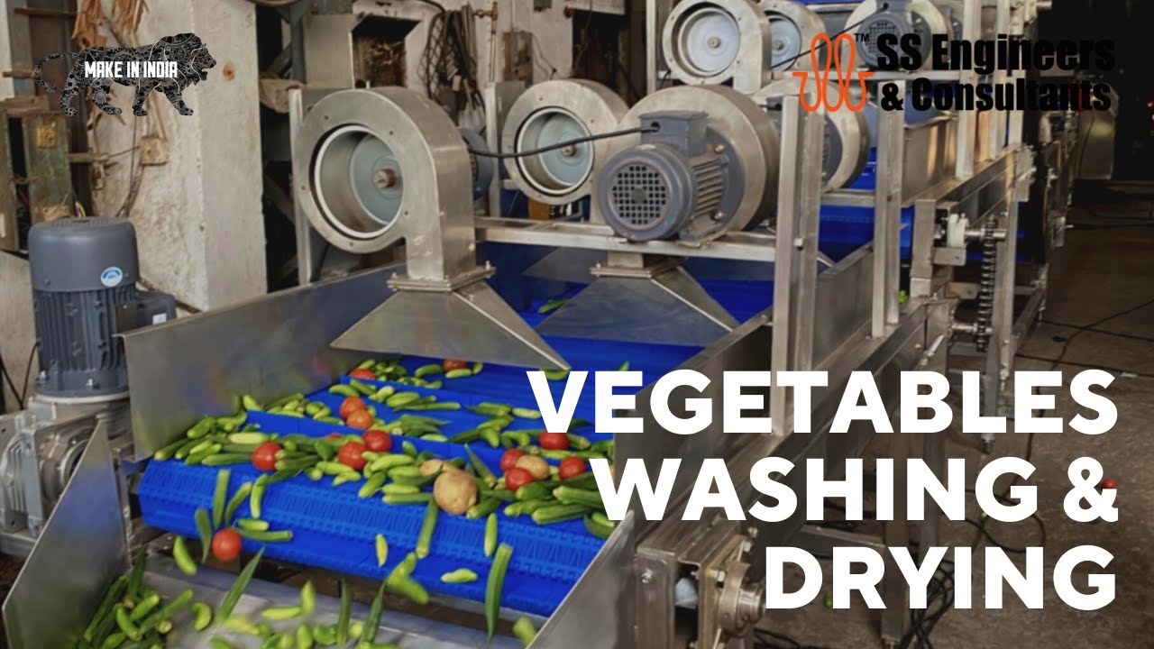 Vegetable washing and drying line | Primary processing