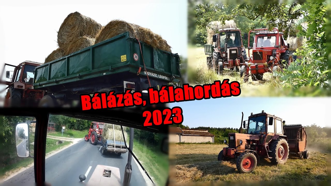 Bálázás, bálarakás, bálahordás | Mtz 50, Mtz 80 [2023]