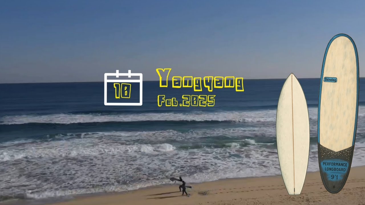 Surfing Family | Winter Surf Log in Yangyang 2.10 (2025)
