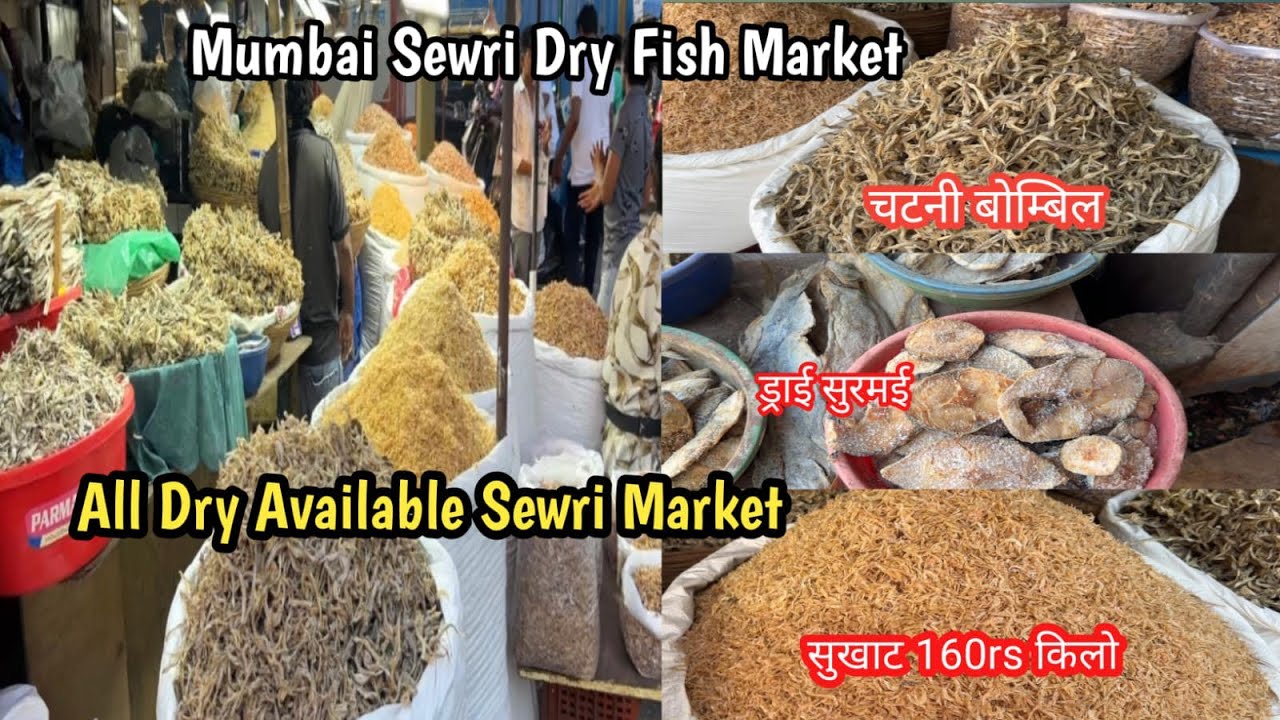 All Dry Fish Available Sewri Dry Fish Market | Mumbai Sewri Dry Fish Market |