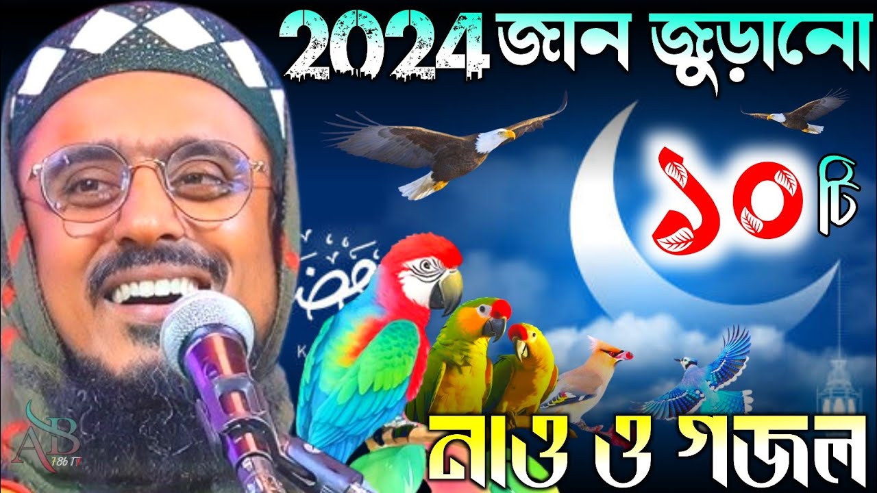 জান জুড়ানো ১০ টি গজল মহেব্বুল্লাহ হোসাইনী !Pirzada Mohibullah Husseini Gojol 2026 !  নতুন নতুন গজল
