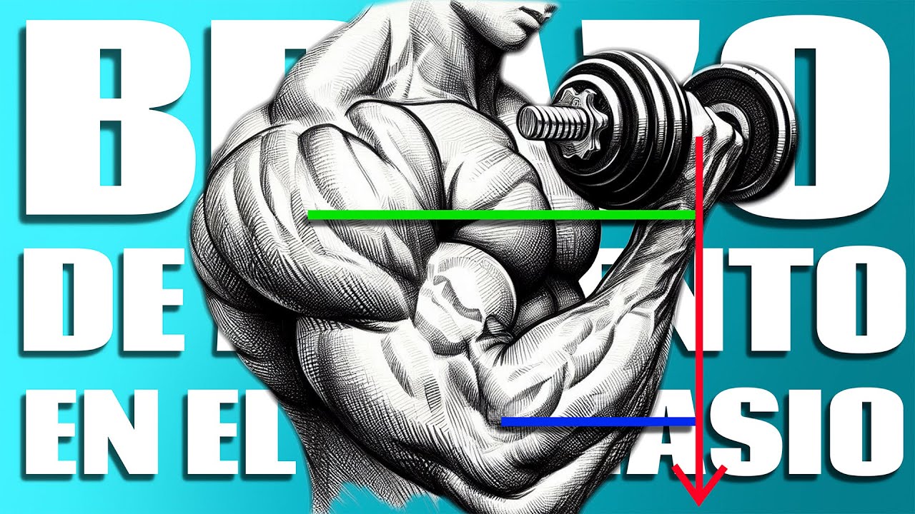 BRAZO DE MOMENTO en los EJERCICIOS del GIMNASIO
