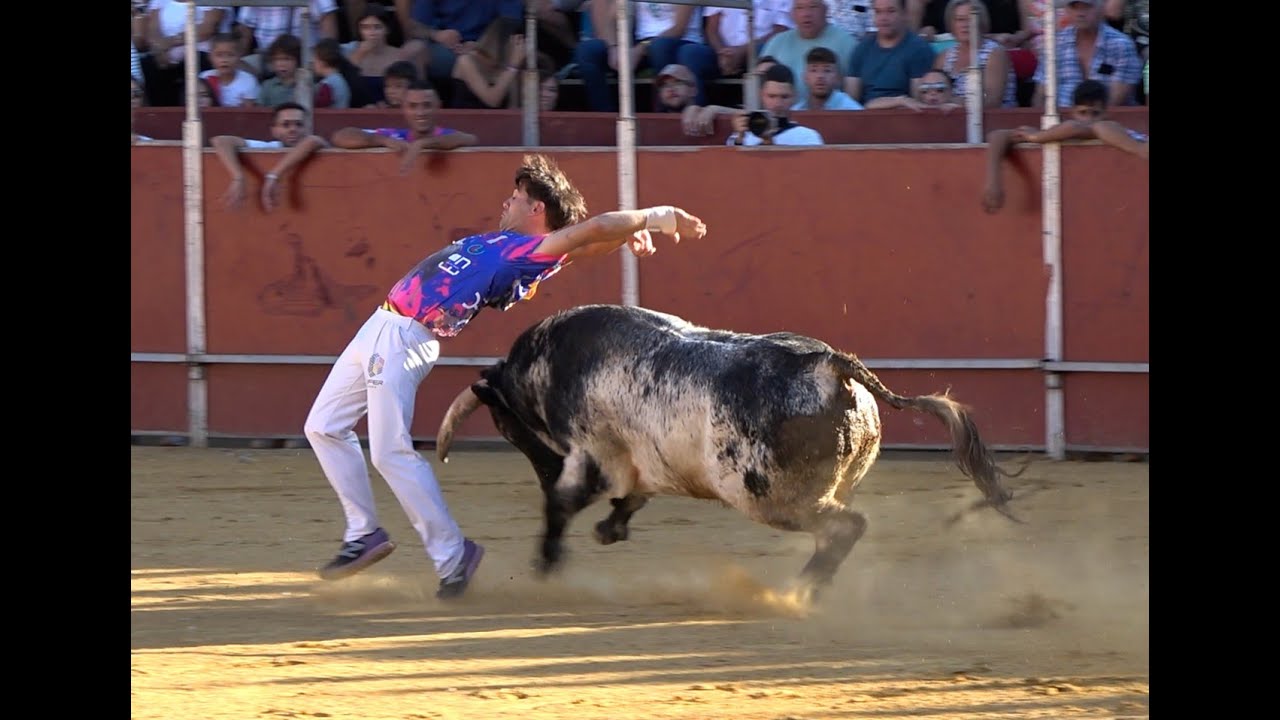 Fuenlabrada (16-09-25) - Concurso de Recorte Libre