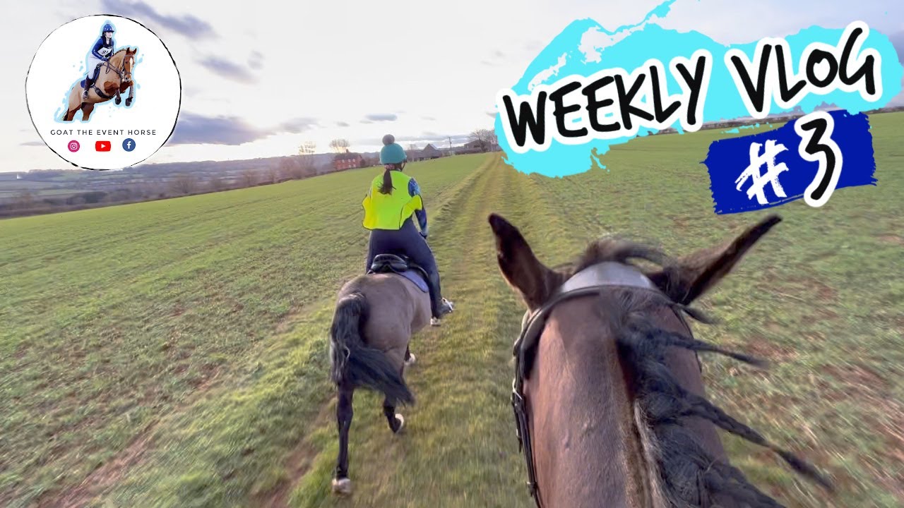 EVENT PREP CONTINUES - 2 WEEKS TO GO | WEEKLY VLOG #3 | GOAT THE EVENT HORSE