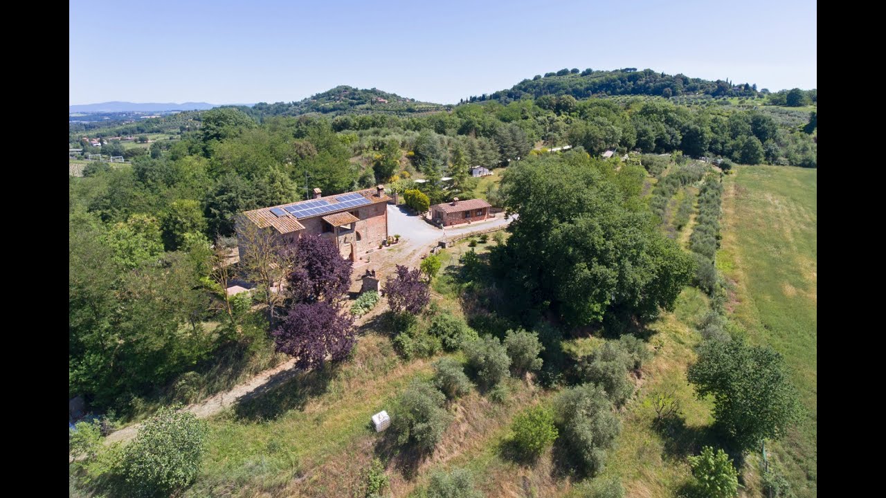 SOLD! Il Leone Etrusco - Chiusi, Siena, Toscana - CPGE5589