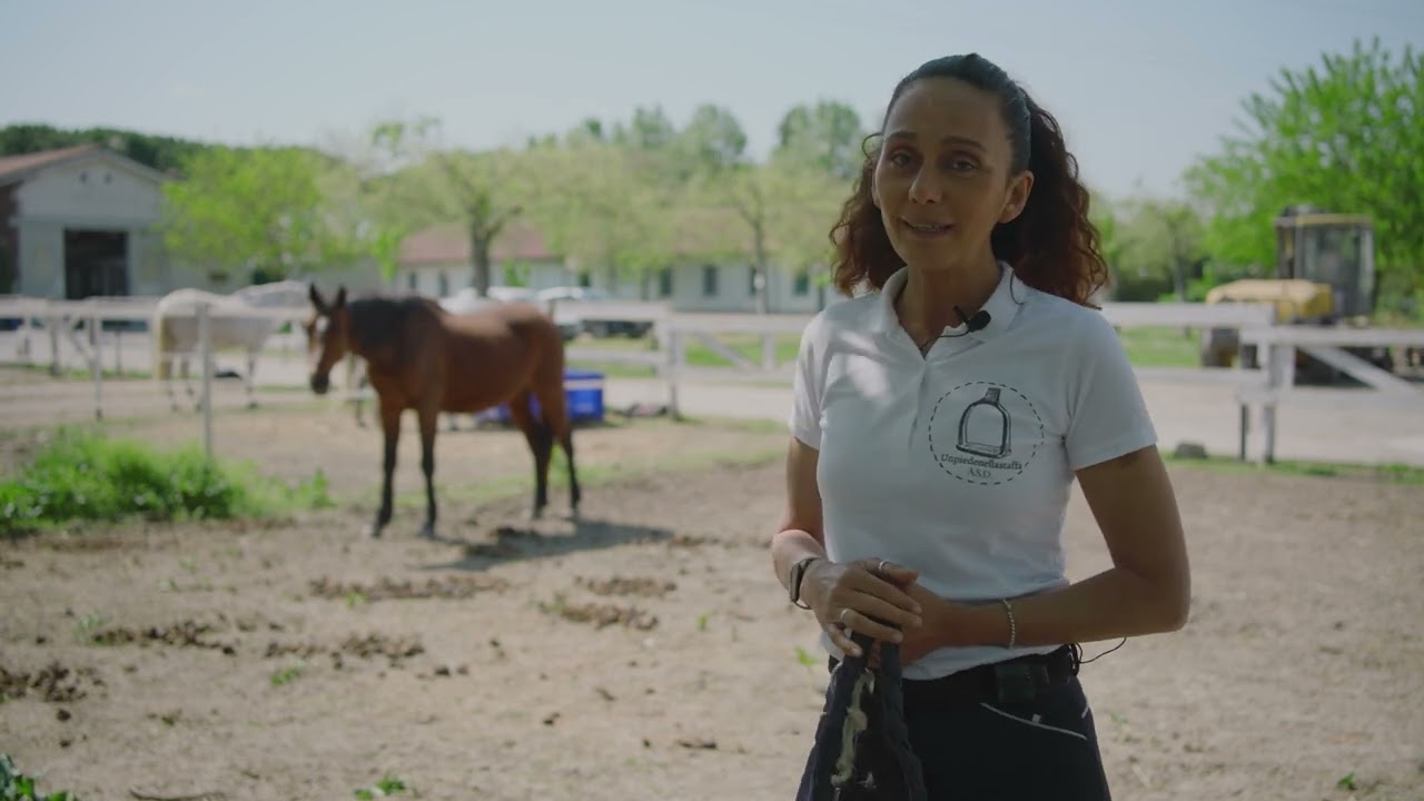 Avvicinare Cavallo nel Paddock